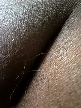 wildfun  online show from November 30, 6:47 am