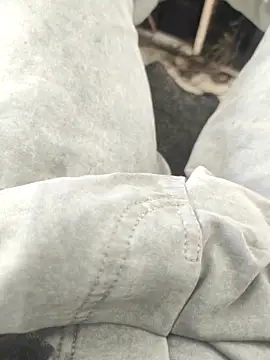 bbclip online show from November 2, 8:19 am