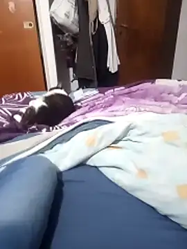 omeriz online show from October 22, 1:49 am