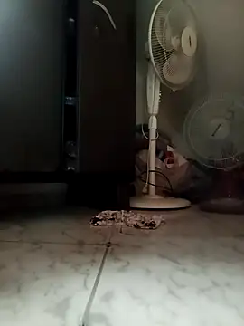 payalchola online show from March 14, 7:25 am