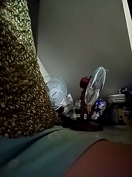 payalchola online show from April 15, 4:55 pm