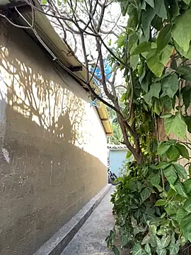 twinks 28 online show from February 25, 7:14 pm