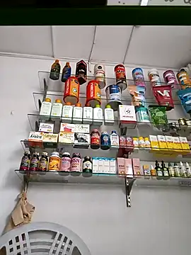 Snapshot of roxanasexy2025 chatting on February 6, 2:13 pm roxanasexy2025 online show from February 6, 2:13 pm