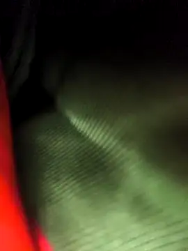 Snapshot of Rosemarie_Blu chatting on November 9, 5:22 am Rosemarie Blu online show from November 9, 5:22 am