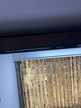 Madisson-Rivas online show from November 13, 6:12 pm