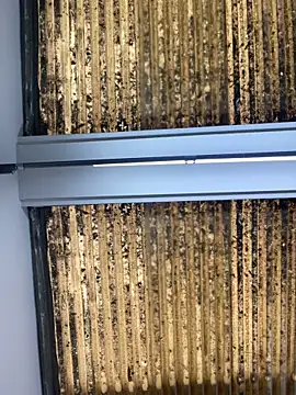 Madisson-Rivas online show from October 14, 7:14 pm