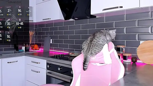 ShaiyaMinn3 online show from February 28, 12:10 am