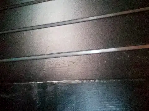 wetnwildforyou online show from October 25, 6:01 am