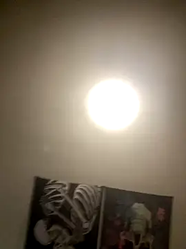 Snapshot of 1Zoey101 chatting on November 5, 4:37 am 1Zoey101 online show from November 5, 4:37 am