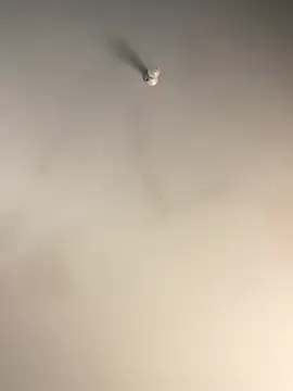 Snapshot of 1Zoey101 chatting on December 2, 7:32 am 1Zoey101 online show from December 2, 7:32 am