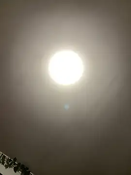 1Zoey101 online show from April 5, 5:52 pm