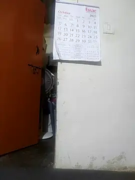 pallu telgu kannada online show from October 23, 12:59 pm