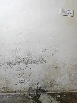 pallu telgu kannada online show from March 4, 5:31 pm