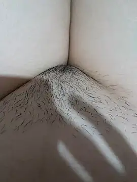 yakot7 online show from November 14, 11:30 pm