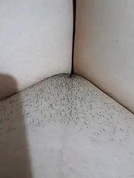 yakot7 online show from November 2, 12:26 am