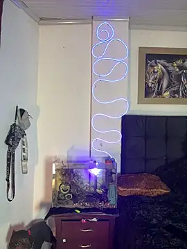 Snapshot of CRAZY-BOY99 chatting on December 14, 11:21 pm CRAZY-BOY99 online show from December 14, 11:21 pm