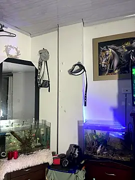 Snapshot of CRAZY-BOY99 chatting on January 15, 8:51 am CRAZY-BOY99 online show from January 15, 8:51 am