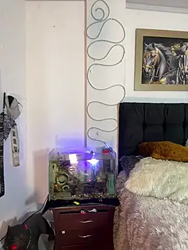 Snapshot of CRAZY-BOY99 chatting on December 15, 11:38 am CRAZY-BOY99 online show from December 15, 11:38 am