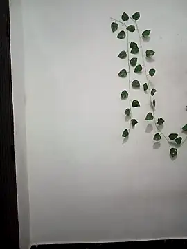 Neha-Bhabhi-Rasily online show from March 22, 4:30 pm