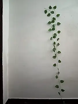 Neha-Bhabhi-Rasily online show from March 24, 3:50 am