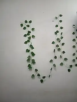 Neha-Bhabhi-Rasily online show from April 7, 11:34 am