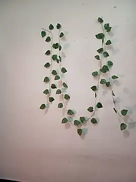 Snapshot of Neha-Bhabhi-Rasily chatting on February 10, 4:44 am Neha-Bhabhi-Rasily online show from February 10, 4:44 am