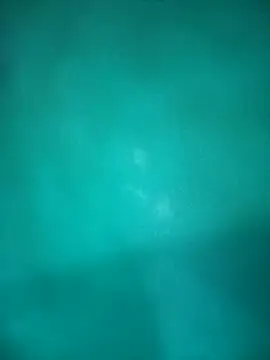 Neha-Bhabhi-Rasily online show from October 29, 4:50 pm