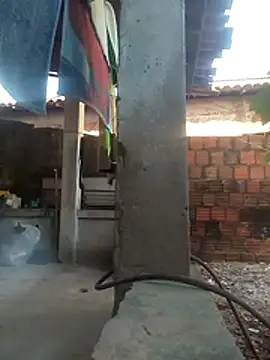 viviksmel online show from November 9, 6:56 pm