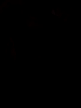 viviksmel online show from October 25, 11:53 am