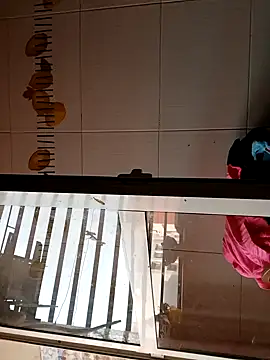 BellyDancer1 online show from November 5, 8:50 am