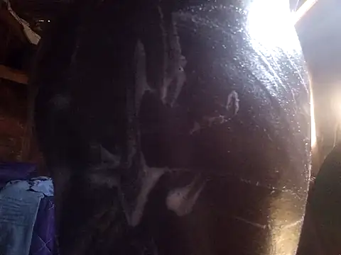 Snapshot of Smart24 chatting on September 15, 9:43 am Smart24 online show from September 15, 9:43 am