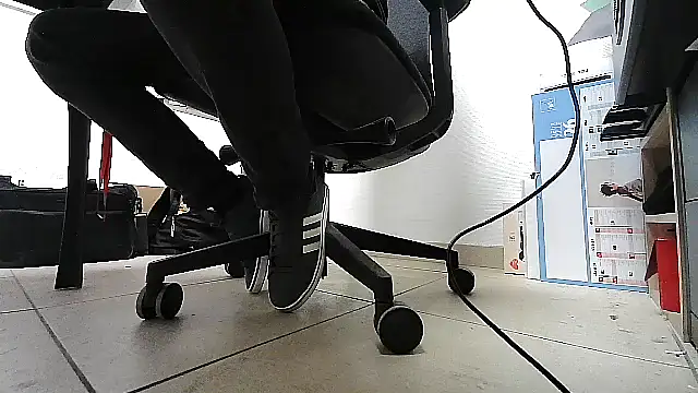 GM51-1988 online show from January 12, 4:25 pm