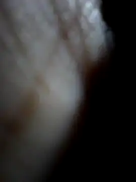 Sandra42 online show from December 15, 9:48 am