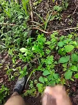 paugrosso553 online show from March 19, 7:58 pm