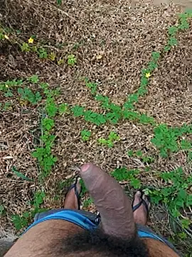 paugrosso553 online show from September 22, 11:49 am