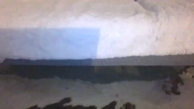 Valentinette online show from February 11, 8:41 pm