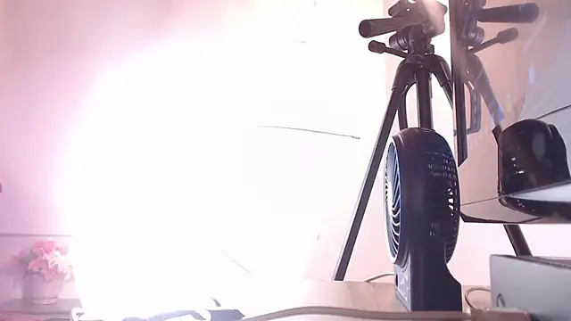 Cattleya gilQS online show from March 20, 11:23 pm