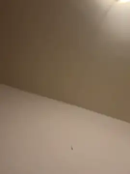 Snapshot of chrisssssss24 chatting on November 21, 1:10 pm chrisssssss24 online show from November 21, 1:10 pm