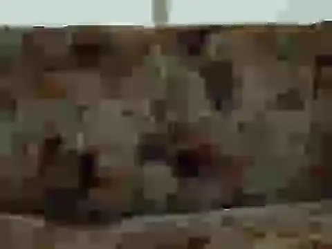 priya patel online show from September 12, 7:19 am