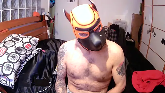 danix wild wolf online show from December 17, 1:27 pm