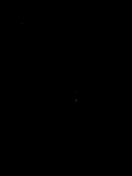 Snapshot of papicook chatting on May 6, 4:38 am papicook online show from May 6, 4:38 am
