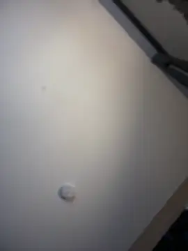 KITTYBOOBOOFUXX online show from April 3, 6:31 am