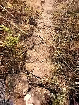 himvilohi08 online show from February 28, 3:17 am