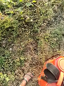 himvilohi08 online show from January 10, 10:54 am