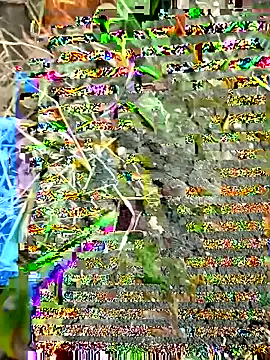 himvilohi08 online show from September 27, 12:33 pm