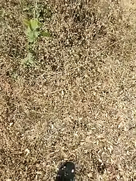 himvilohi08 online show from March 24, 11:54 am