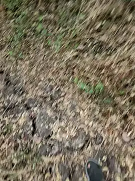 himvilohi08 online show from March 25, 12:48 pm