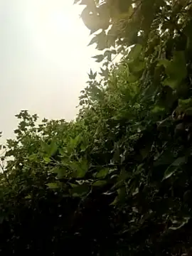 himvilohi08 online show from October 22, 10:25 am