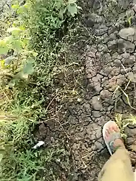 himvilohi08 online show from March 21, 12:31 pm