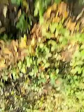 himvilohi08 online show from October 21, 10:47 am